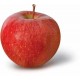 E-Liquid hangsen jablko 10ml 6mg